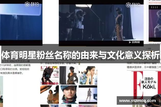 体育明星粉丝名称的由来与文化意义探析
